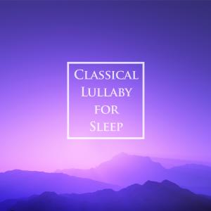 Listen to Debussy: Suite Bergamasque L. 75, III. Clair De Lune song with lyrics from Noble Music Project