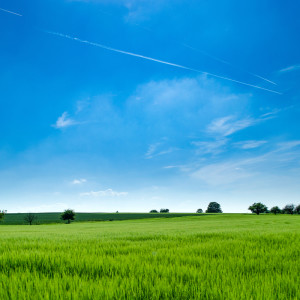 Listen to Nature song with lyrics from Sleep Sounds of Nature