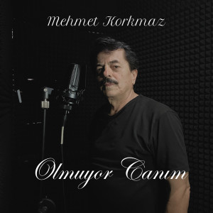 收聽Mehmet Korkmaz的Olmuyor Canım歌詞歌曲