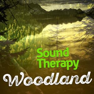 ดาวน์โหลดและฟังเพลง In the Fields พร้อมเนื้อเพลงจาก Nature Sounds Therapy