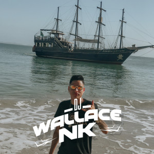 Listen to MAGRONES PRA OUVIR NA ESCOLA song with lyrics from Dj Wallace NK