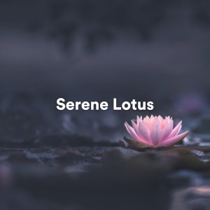 Serene Lotus dari Background Music Experience