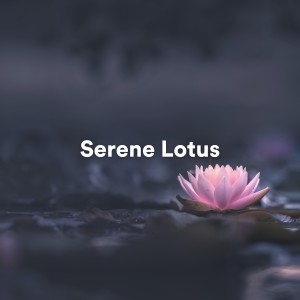 Album Serene Lotus from Background Music Experience