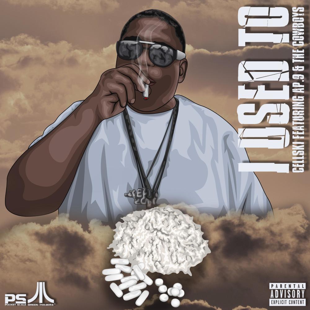 I Used To (feat. AP.9 of the Mob Figaz & The Cowboys) (Album Version) (Explicit)