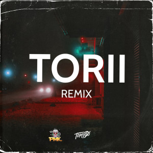 อัลบัม Torii (Remix) ศิลปิน Dj Pirata