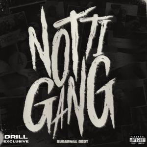 SugarHill Ddot的專輯Notti Gang (Explicit)