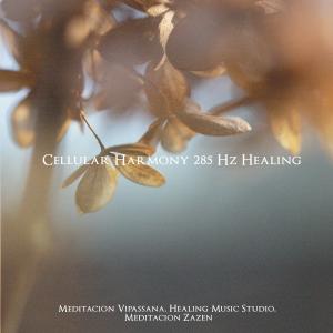 Meditación Vipassana的專輯285 Hz Finding Solace in the Gentle Breeze