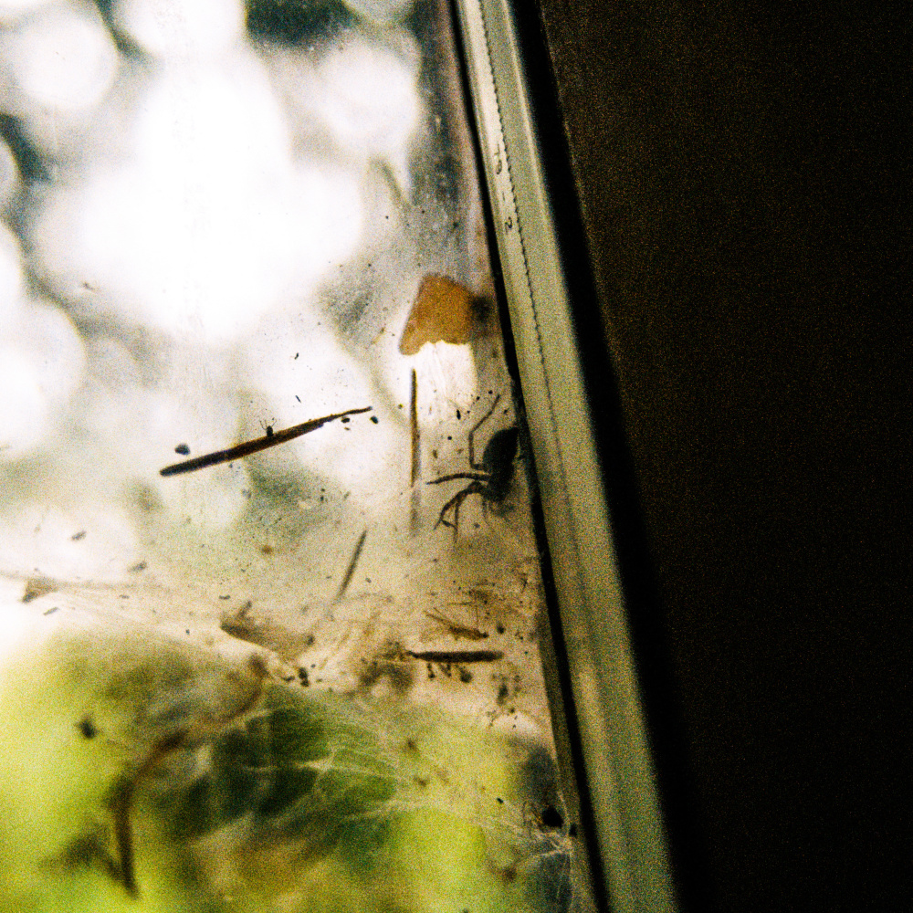 Viridian (Explicit)