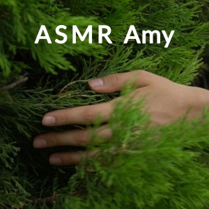 ดาวน์โหลดและฟังเพลง Scalp Massage พร้อมเนื้อเพลงจาก ดารานักร้องหลายคน