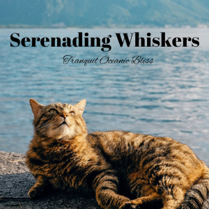 Album Serenading Whiskers: Tranquil Oceanic Bliss oleh Wave and Ocean sounds