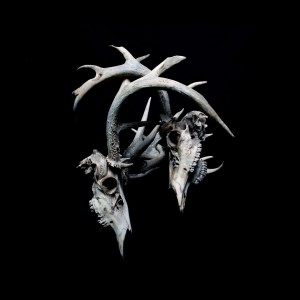 JT Bates的專輯Open Relationships