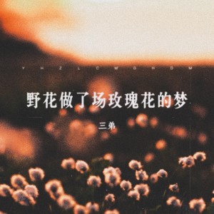 Listen to 野花做了场玫瑰花的梦 (cover: 雪花) (完整版) song with lyrics from 三弟