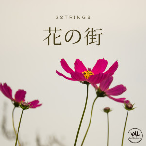 Album City of flowers from 