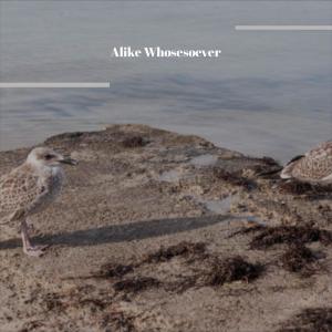 收聽Mouno的Absent Thine歌詞歌曲