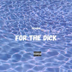 Dengarkan lagu For the Dick (Explicit) nyanyian Ricardo dengan lirik