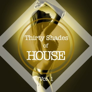 Various Artists的專輯Thirty Shades of House, Vol. 1 (Explicit)