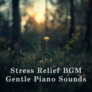 Stress Relief BGM: Gentle Piano Sounds dari Dream House