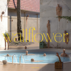 Album Wallflower from 김선재