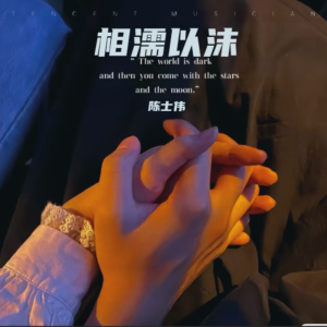 Listen to 下辈子还要和你成个家 (cover: bin仔) (完整版) song with lyrics from 陈士伟