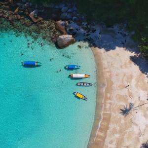 Listen to Pure Relaxation Music for Sleeping song with lyrics from Relaxing Music
