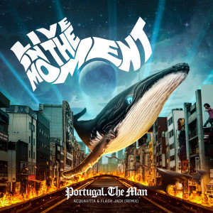 Listen to Portugal the Man (Live in the Moment|Remix) song with lyrics from Acquavitta