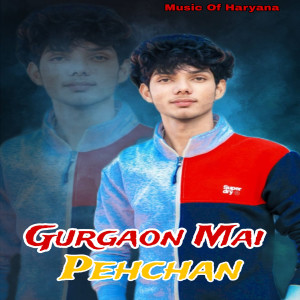 Listen to Gurgaon Mai Pehchan song with lyrics from N P Nekpuria