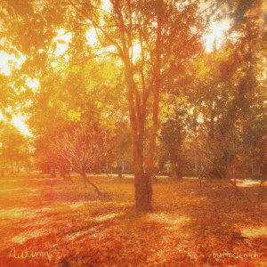 Listen to Autumn song with lyrics from Butterscotch
