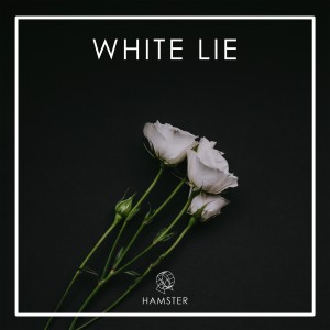 ดาวน์โหลดและฟังเพลง We Never Know Anymore (feat. Alxxa) พร้อมเนื้อเพลงจาก Hamster