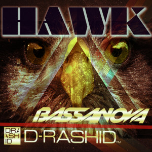 Listen to Hawk (Club Mix) song with lyrics from D-Rashid