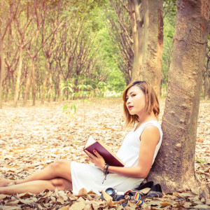 收聽Ossia的Lombok歌詞歌曲