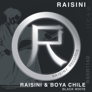 Listen to Black White (Radio Edit) song with lyrics from Raisini