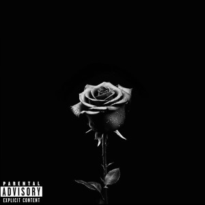 Album Homenagem (Explicit) from Tönis