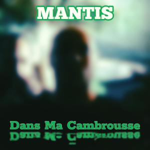 ดาวน์โหลดและฟังเพลง Dans Ma Cambrousse (feat. DJ Kosh) พร้อมเนื้อเพลงจาก Mantis BDK
