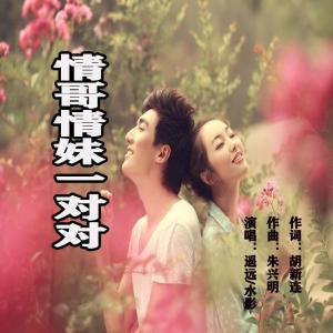 Album 情哥情妹一对对 from 炫音飞歌