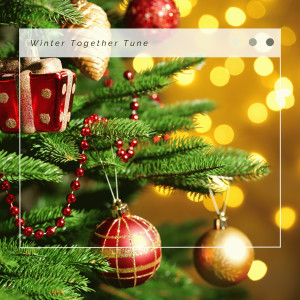 收聽Acoustic Christmas的Perfect Christmas: The Twelve Days of Christmas歌詞歌曲
