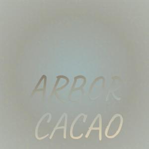 Listen to Sandpiper Jumped song with lyrics from Elen Pego