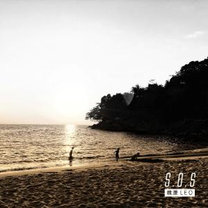 Listen to S.O.S song with lyrics from 魏蒙