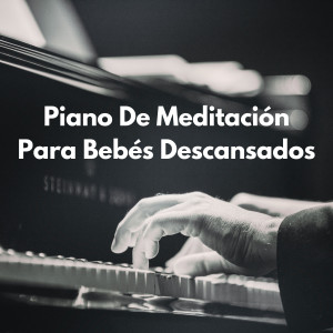 Piano Clásico的專輯Armonía Del Bebé Zen: Piano De Meditación Para Bebés Descansados