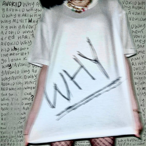 ดาวน์โหลดและฟังเพลง Why พร้อมเนื้อเพลงจาก AVOKID