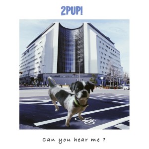 ดาวน์โหลดและฟังเพลง Can you hear me ? พร้อมเนื้อเพลงจาก 2PUP!