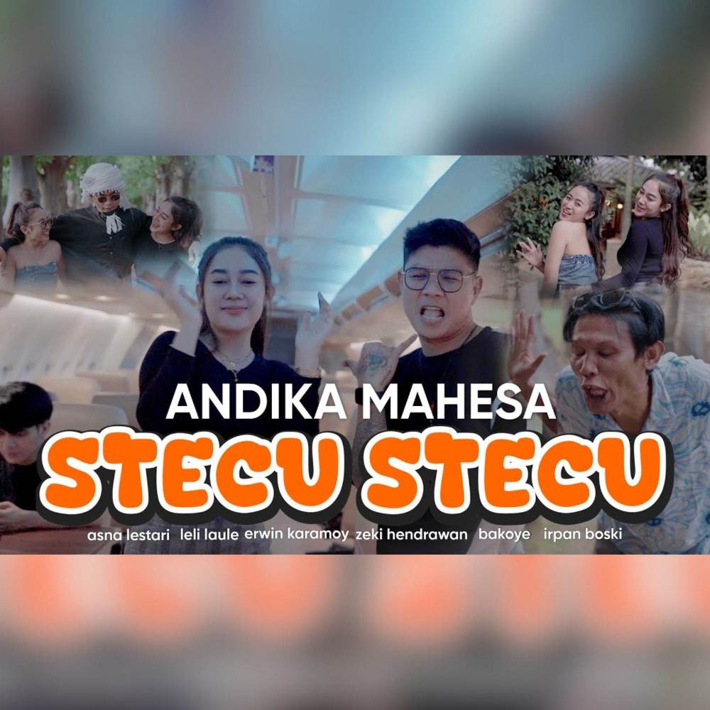 Stecu Stecu