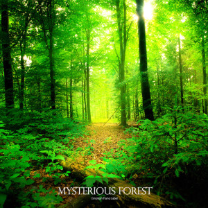석정란的专辑Mysterious Forest