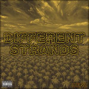 อัลบัม Different Strands (feat. Hollywoodyes) [Explicit] ศิลปิน Denz