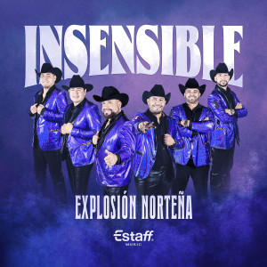 ดาวน์โหลดและฟังเพลง Insensible (Clean) พร้อมเนื้อเพลงจาก Explosion Nortena
