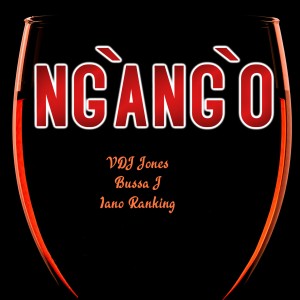 收聽VDJ Jones的Ngango歌詞歌曲