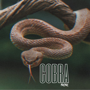 Nene的專輯Cobra