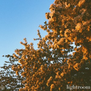 收聽The LK的Lightroom 4歌詞歌曲