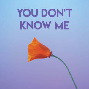 ดาวน์โหลดและฟังเพลง You Don't Know Me (Explicit) พร้อมเนื้อเพลงจาก Urban Sound Collective