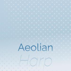 Silvia Natiello-Spiller的专辑Aeolian Harp