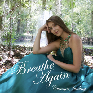 Listen to Titanium song with lyrics from Camryn Jerding